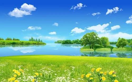 高性能数字化